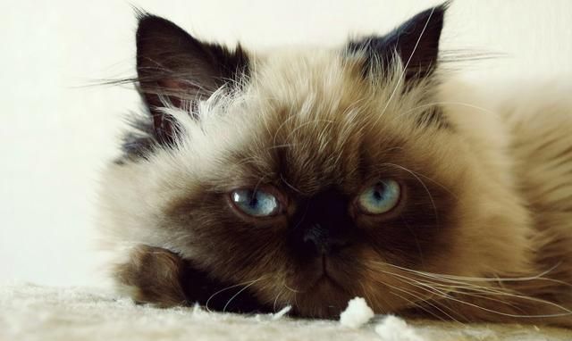 �������Ĵ�⬡������ٶ�,�����Ÿ���Ҫ