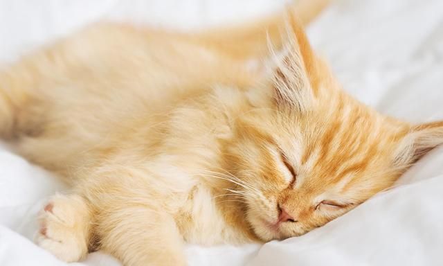 �������Ĵ�⬡������ٶ�,�����Ÿ���Ҫ