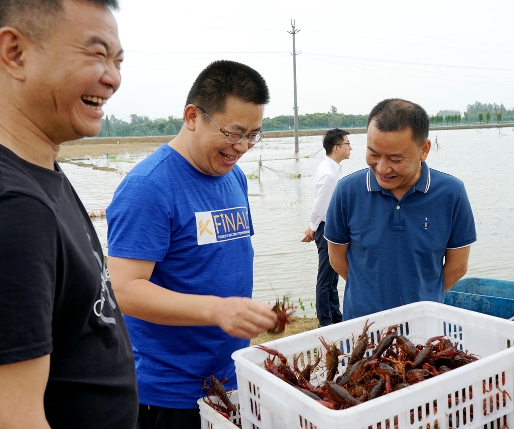 没有一只小龙虾能活着离开四川 四川“好吃嘴”一年吃掉七八万吨!休闲区蓝鸢梦想 - Www.slyday.coM 没有一只小龙虾能活着离开四川 四川“好吃嘴”一年吃掉七八万吨!休闲区蓝鸢梦想 - Www.slyday.coM