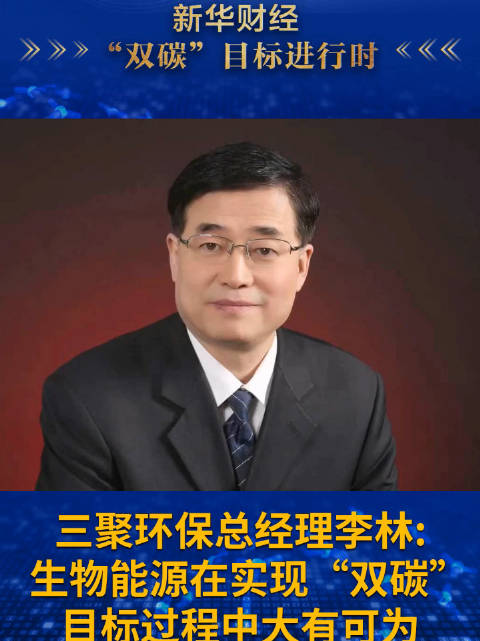 三聚环保李林生物能源在实现双碳目标过程中大有可为