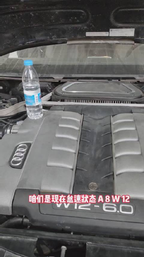 多缸真的稳吗？奥迪A8 W12立硬币轰油实验！