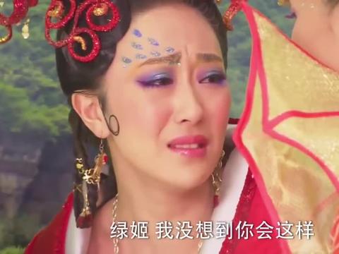 活佛济公绿姬帮赵斌挡了乾坤洞主的致命一击倒在了赵斌怀里