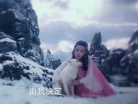 幻城:年轻时候的莲姬太美了,连雪狐都喜欢她