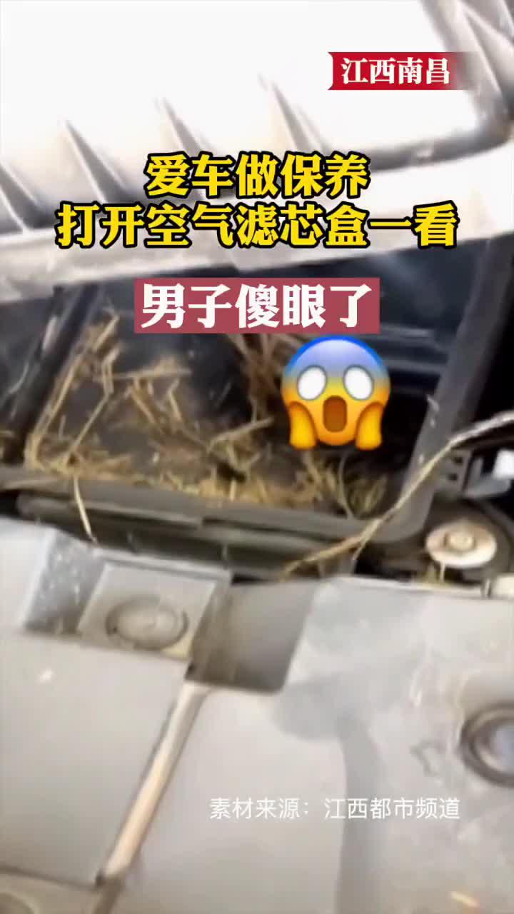 爱车做保养，打开空气滤芯盒里面竟是“ ”？