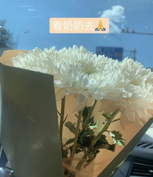 在一张配图中,张子萱还晒出了自己去看望奶奶的照片,照片中她拿着一束