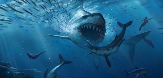 巨齿鲨的灭绝之谜