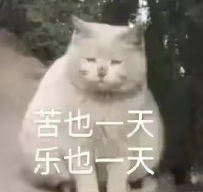 围观李雪琴花式答辩句句高能，不愧是她