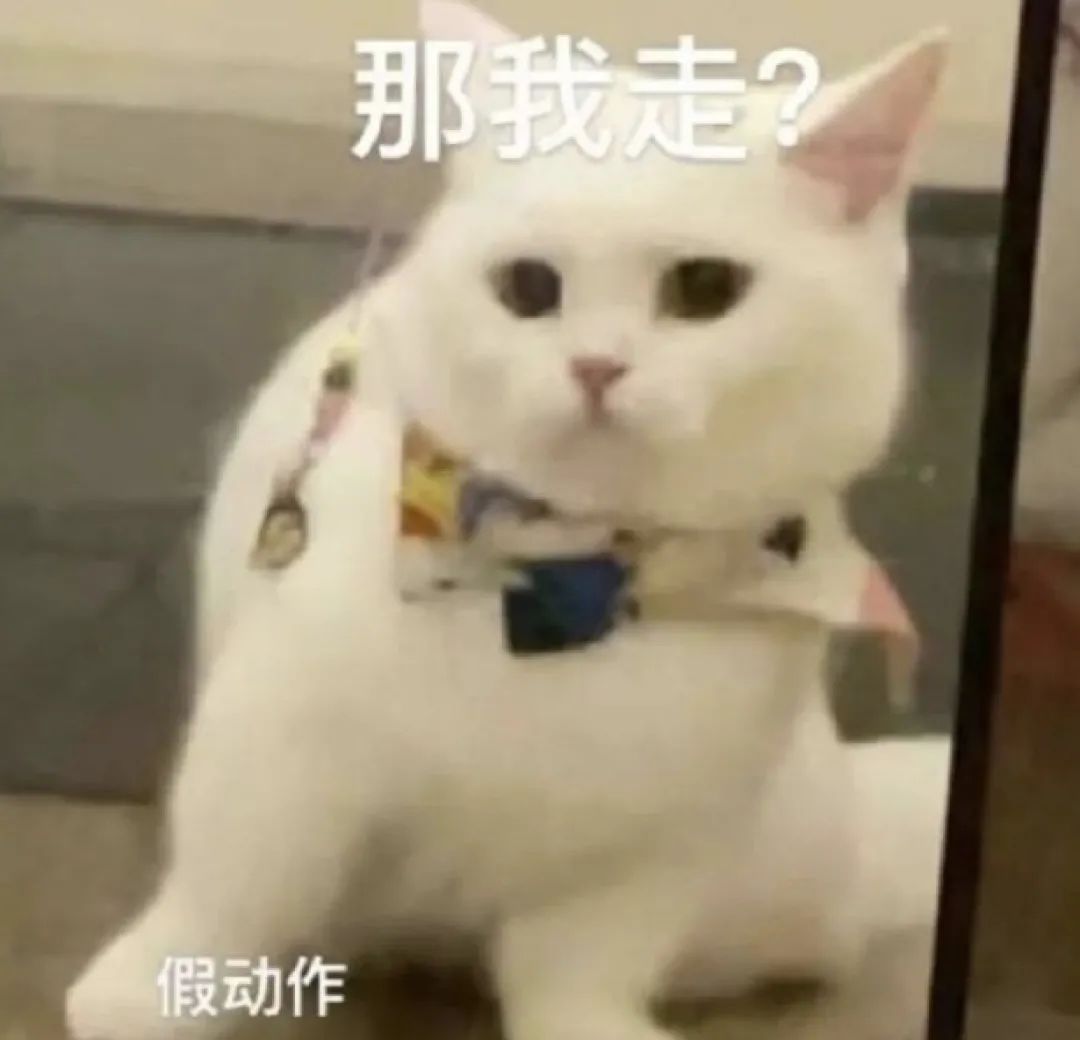 围观李雪琴花式答辩句句高能，不愧是她