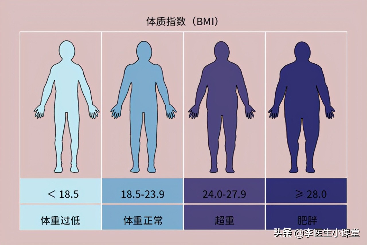 减肥瘦身肥胖美女健身矢量素材免费下载 - 觅知网