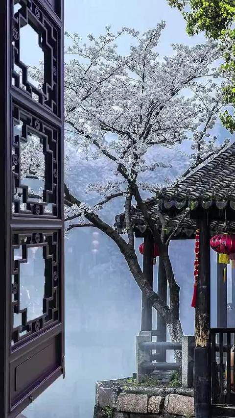 艰难苦恨繁霜鬓 潦倒新停浊酒杯代表什么动物？