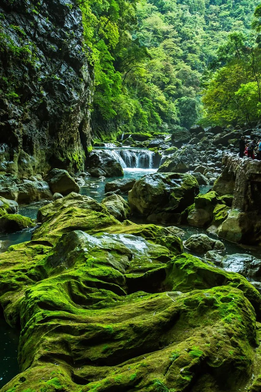 7月 我建议你一定要去一次贵州