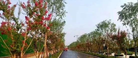 下周二起，济南经十路多个路口围挡施工，走法有变