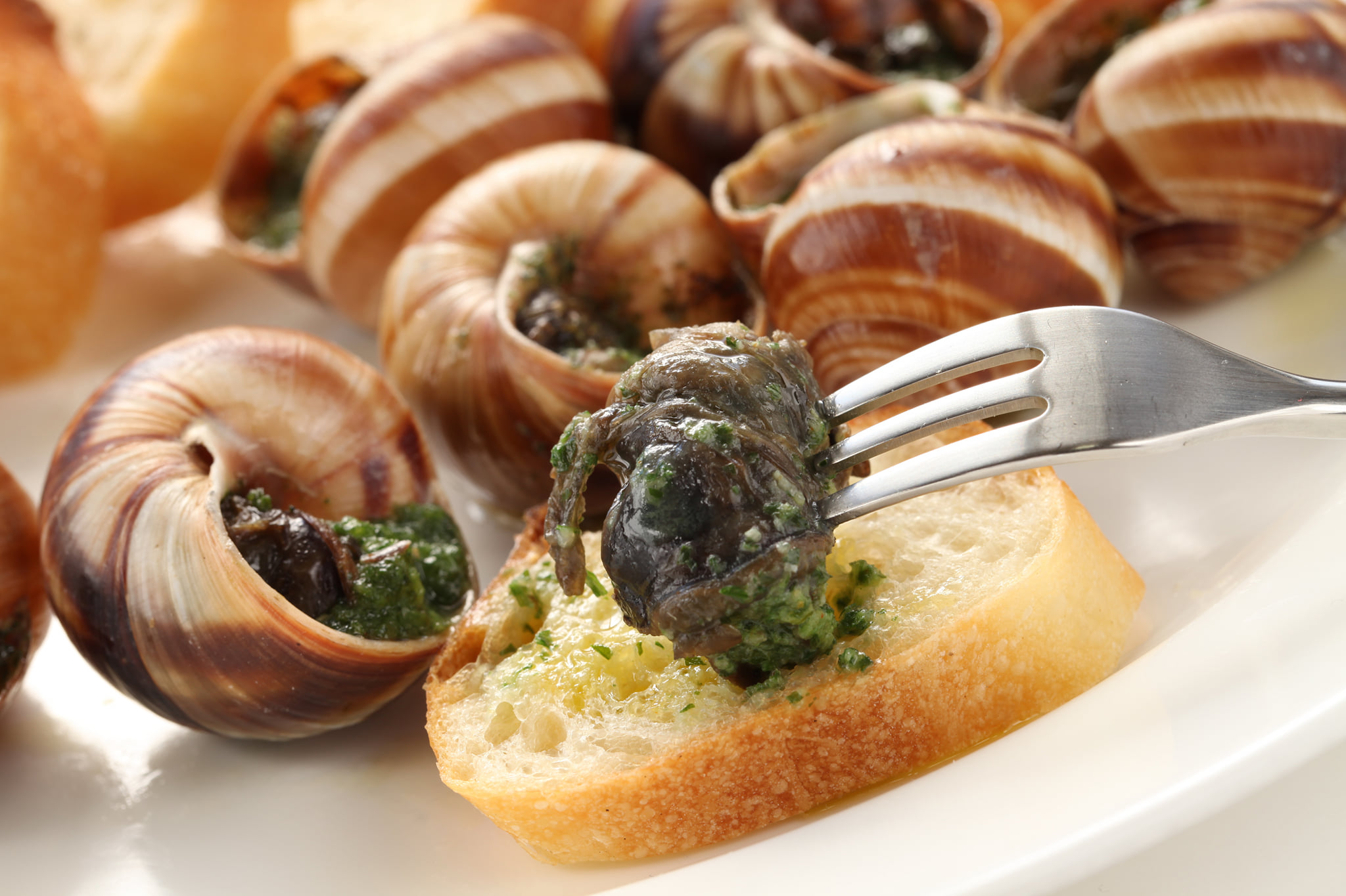 蜗牛这么可爱，法国人为什么要吃它？_勃艮第