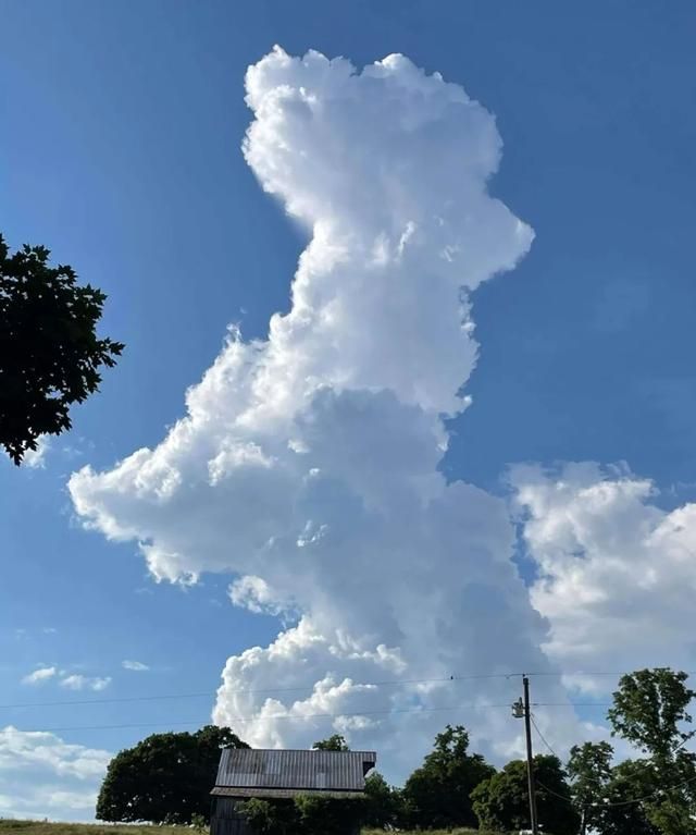 网友偶然抬头,发现天上有片狗狗形状的云彩,那造型真是惟妙惟肖