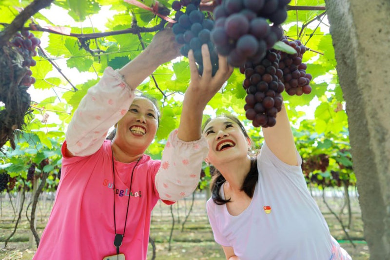 ũպפһæŲժչ˿͵Ķ  㣩