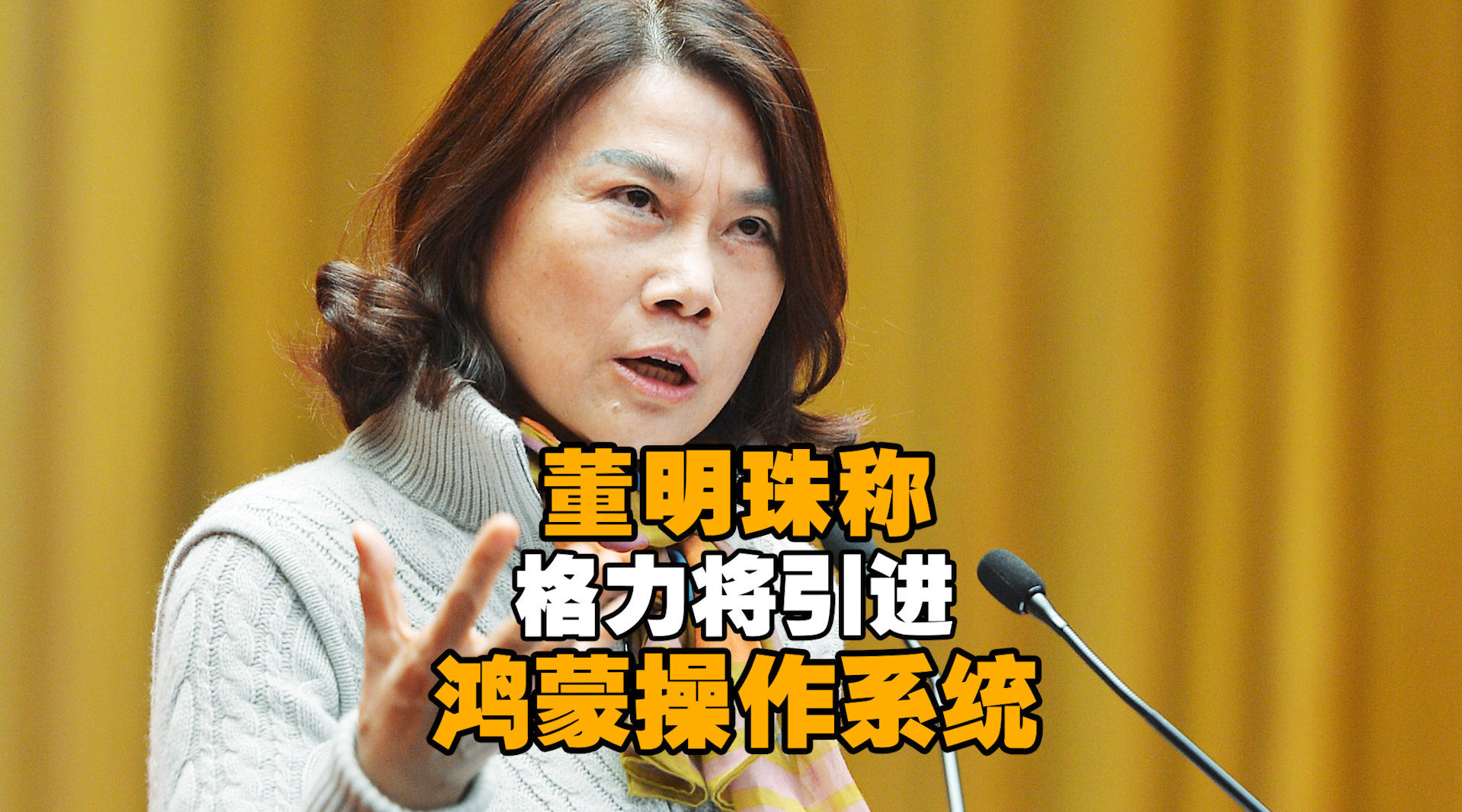 董明珠称格力将引进鸿蒙操作系统