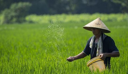 中国9亿农民用最廉价的劳动力养活了4亿多城镇居民,而农民自己却富不