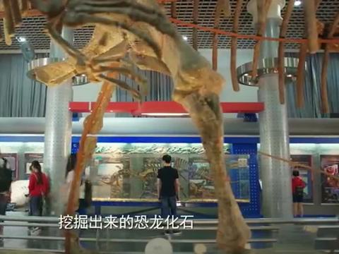 《同学两亿岁》宣墨在博物馆里见到卡多希,为大家介绍当初的样子