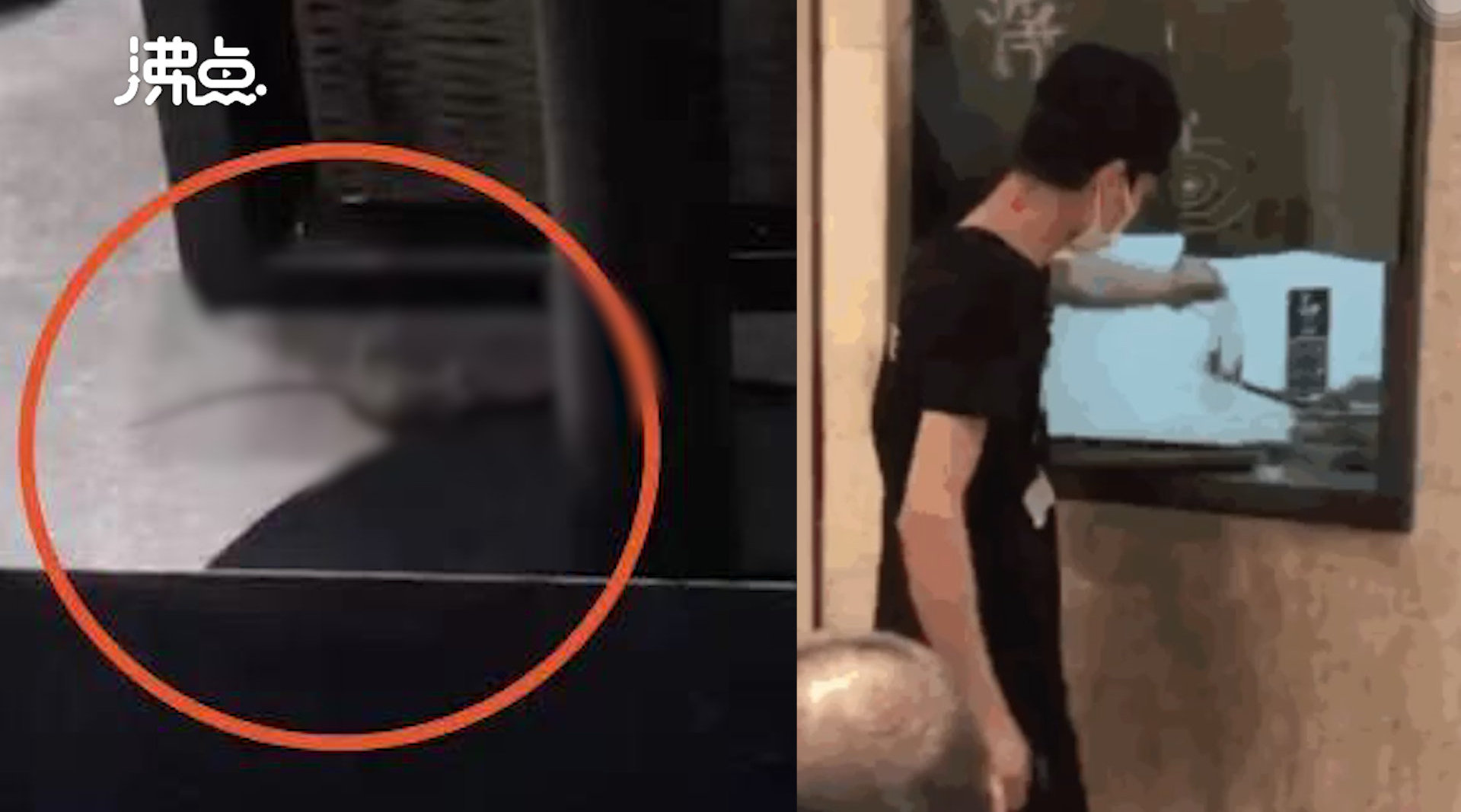 和府捞面回应店内发现死老鼠，向消费者道歉，门店闭店整改