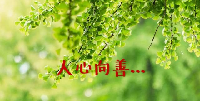 人心向善善有善报