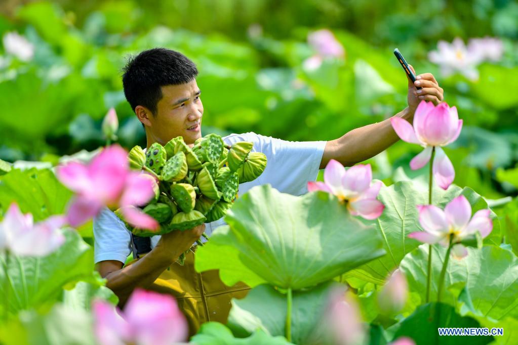A villager promotes newly-harvested lotus seedpods through livestreams in Lianying Village, Xiangtan City, central China's Hunan Province, July 11, 2021. (Xinhua/Chen Zeguo)