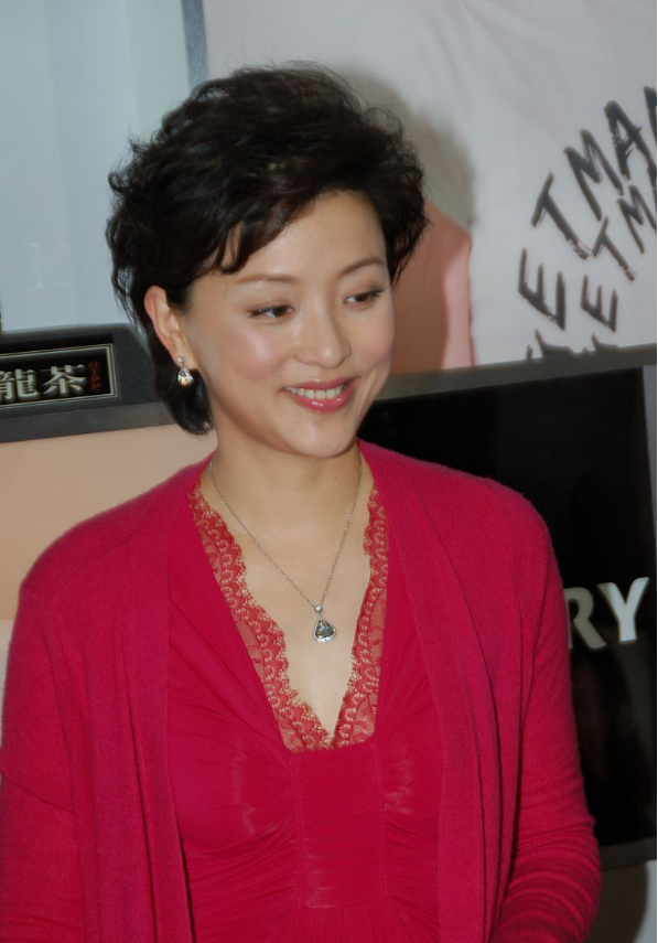 杨澜的气质模仿不来,穿玫红色连衣裙成熟优雅,魅力不输女明星 杨澜的气质模仿不来,穿玫红色连衣裙成熟优雅,魅力不输女明星