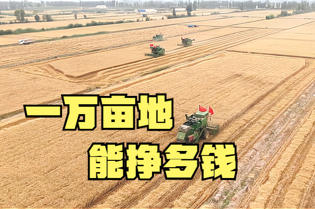 流转1万亩地,每亩租金600元,种小麦和玉米,一年有多少净利润?休闲区蓝鸢梦想 - Www.slyday.coM 流转1万亩地,每亩租金600元,种小麦和玉米,一年有多少净利润?休闲区蓝鸢梦想 - Www.slyday.coM