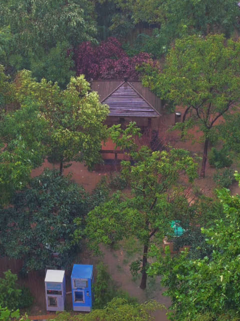 近期济南，暴雨频发……