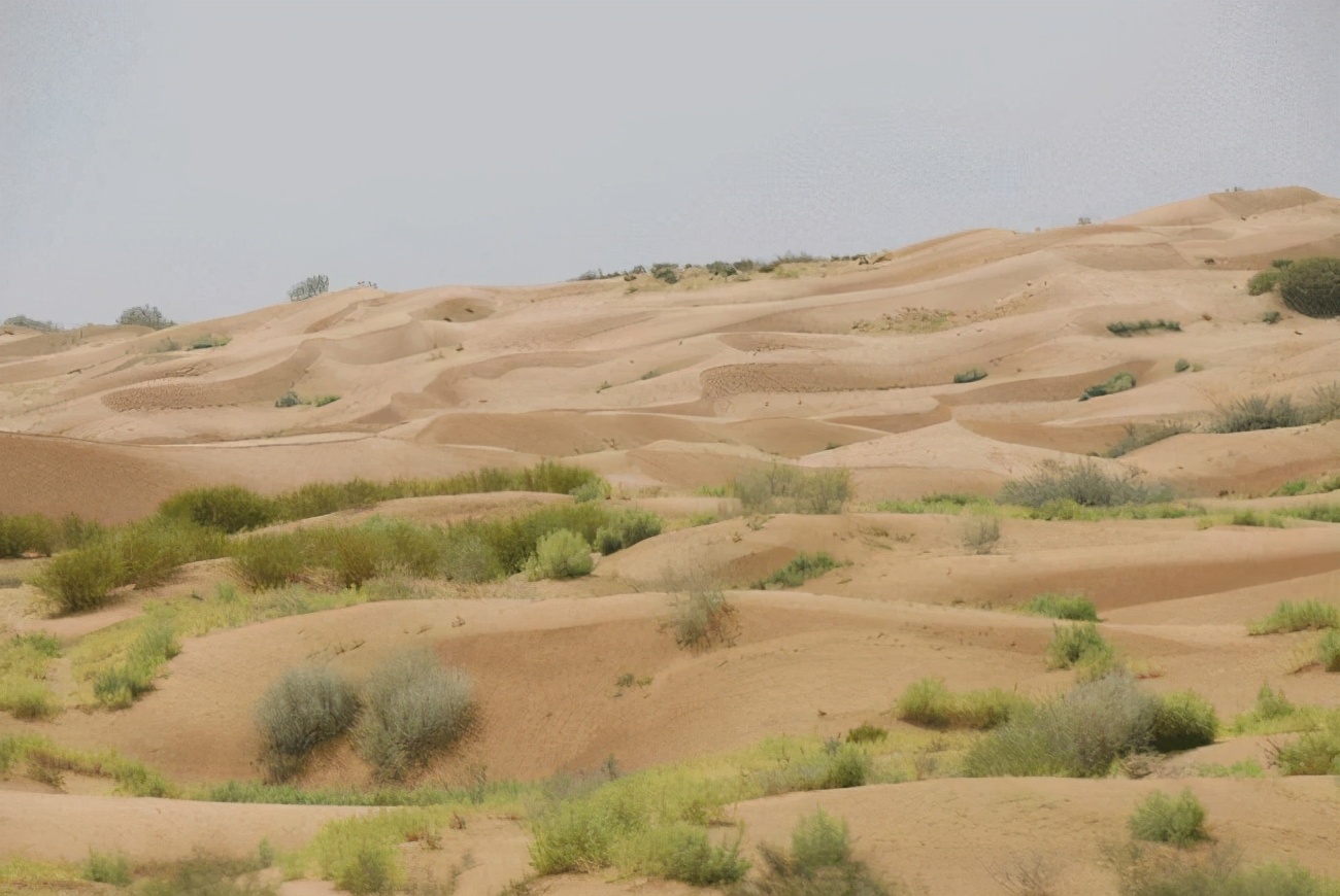 中国毛乌素沙地南缘小城荒漠盐池的治沙之路 - 图说世界 - 龙腾网