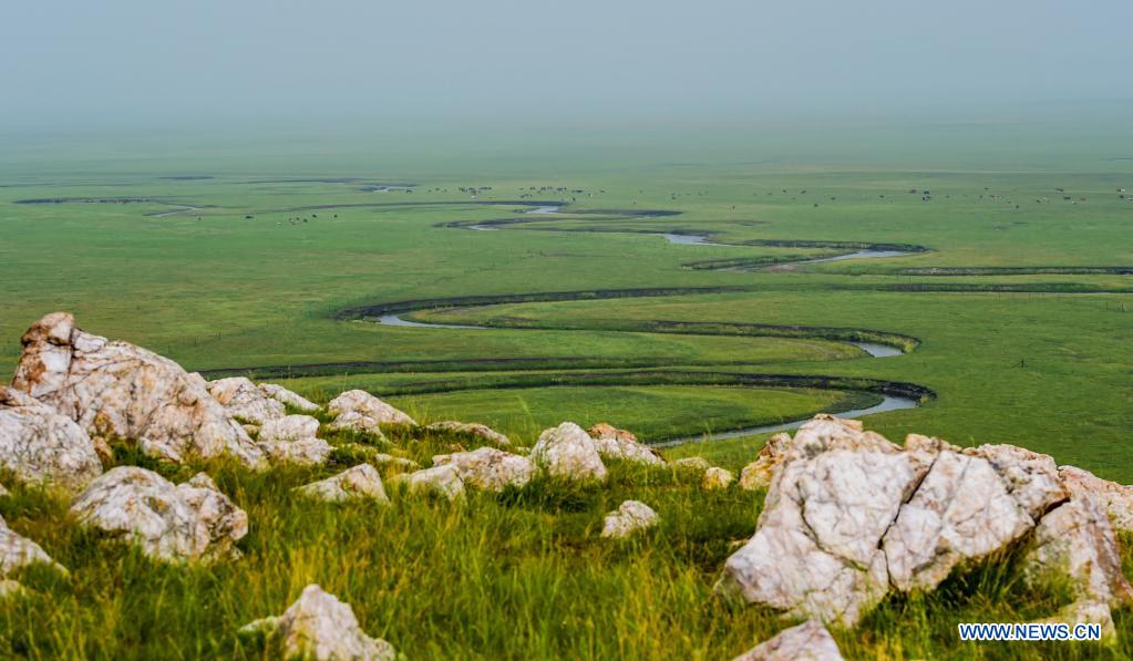 Photo taken on July 12, 2021 shows the scenery of a grassland in Dong Ujimqin Banner of Xilin Gol, north China's Inner Mongolia Autonomous Region. (Xinhua/Lian Zhen)