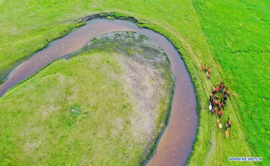 Aerial photo taken on July 12, 2021 shows the scenery of a grassland in Dong Ujimqin Banner of Xilin Gol, north China's Inner Mongolia Autonomous Region. (Xinhua/Lian Zhen)