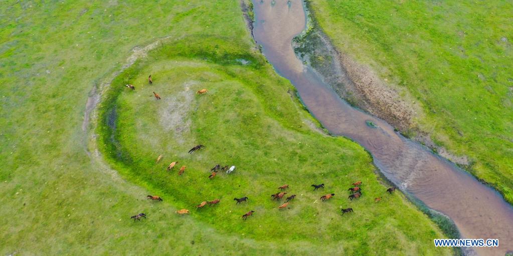 Aerial photo taken on July 12, 2021 shows the scenery of a grassland in Dong Ujimqin Banner of Xilin Gol, north China's Inner Mongolia Autonomous Region. (Xinhua/Peng Yuan)