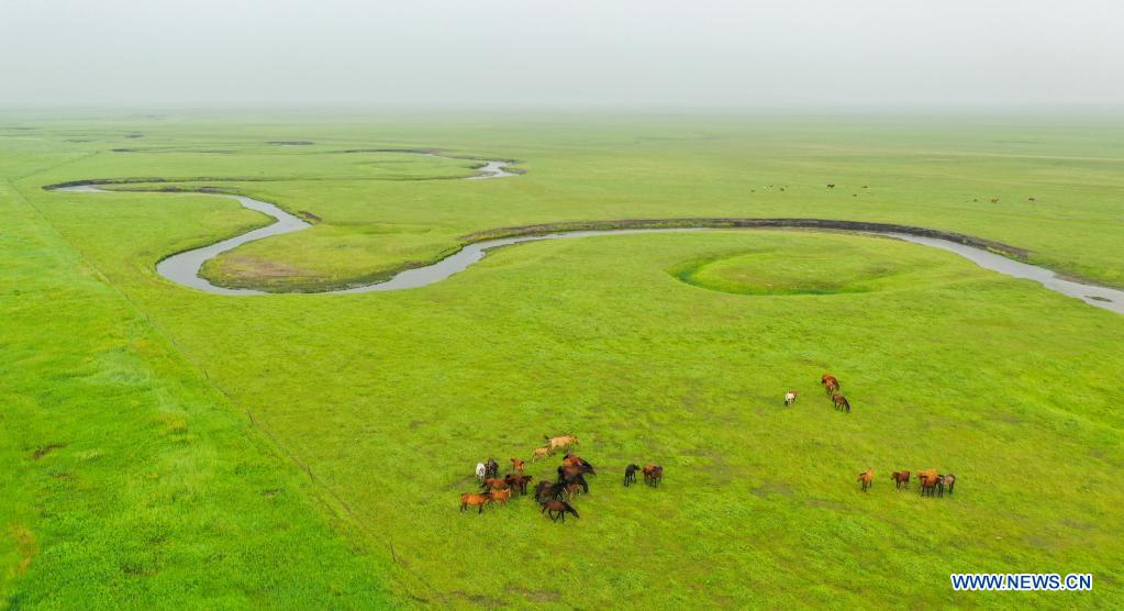 Aerial photo taken on July 12, 2021 shows the scenery of a grassland in Dong Ujimqin Banner of Xilin Gol, north China's Inner Mongolia Autonomous Region. (Xinhua/Lian Zhen)