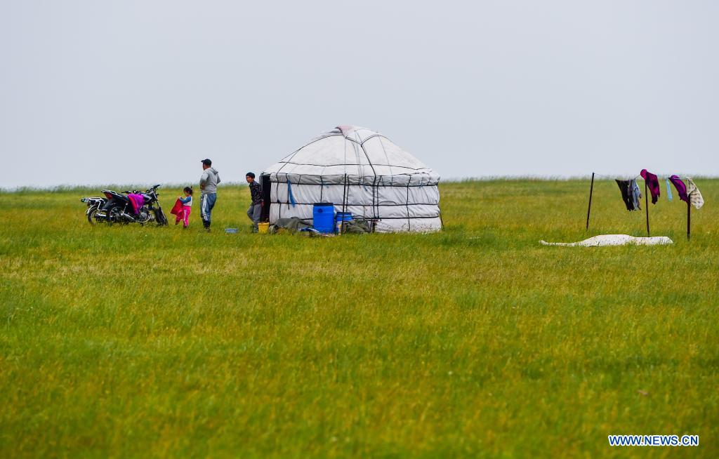 Herdsmen walk out of a mongolian tent on the Xilingol Grassland in north China's Inner Mongolia Autonomous Region, July 12, 2021. (Xinhua/Lian Zhen)