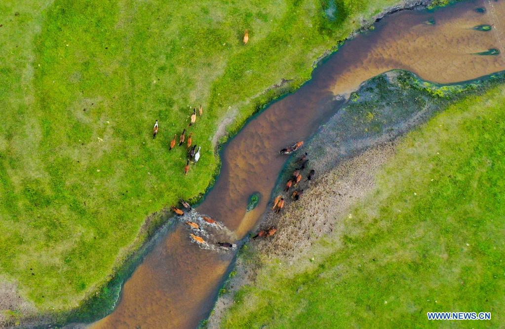 Aerial photo taken on July 12, 2021 shows the scenery of a grassland in Dong Ujimqin Banner of Xilin Gol, north China's Inner Mongolia Autonomous Region. (Xinhua/Lian Zhen)