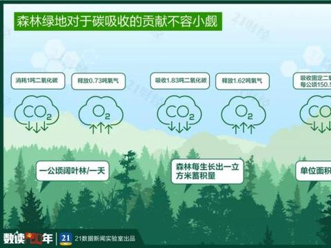 我们种了一片森林：能源汇为地球减少28000000kg二氧化碳排放！