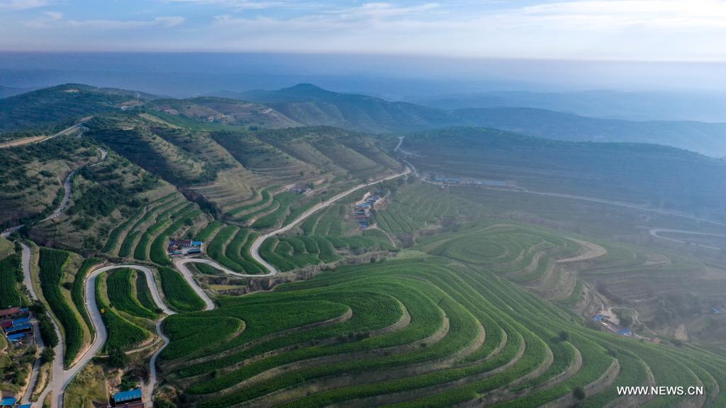 Aerial photo taken on July 14, 2021 shows terraced fields in Pengyang County of Guyuan, northwest China's Ningxia Hui Autonomous Region. (Xinhua/Feng Kaihua)