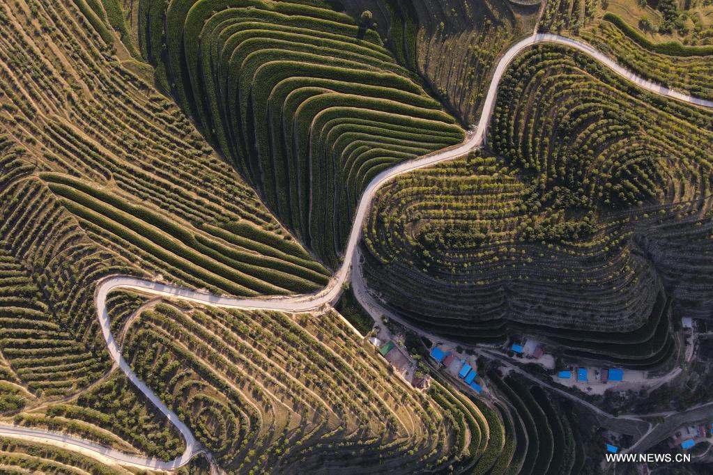 Aerial photo taken on July 13, 2021 shows terraced fields in Pengyang County of Guyuan, northwest China's Ningxia Hui Autonomous Region. (Xinhua/Tang Rufeng)