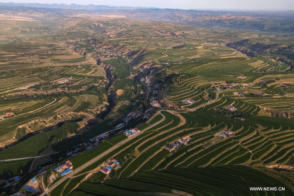 Aerial photo taken on July 14, 2021 shows terraced fields in Pengyang County of Guyuan, northwest China's Ningxia Hui Autonomous Region. (Xinhua/Tang Rufeng)