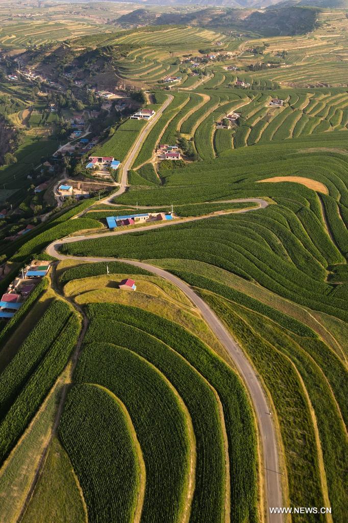 Aerial photo taken on July 14, 2021 shows terraced fields in Pengyang County of Guyuan, northwest China's Ningxia Hui Autonomous Region. (Xinhua/Tang Rufeng)