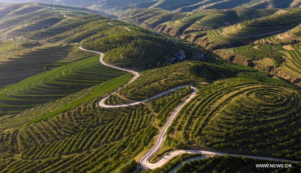 Aerial photo taken on July 13, 2021 shows terraced fields in Pengyang County of Guyuan, northwest China's Ningxia Hui Autonomous Region. (Xinhua/Feng Kaihua)