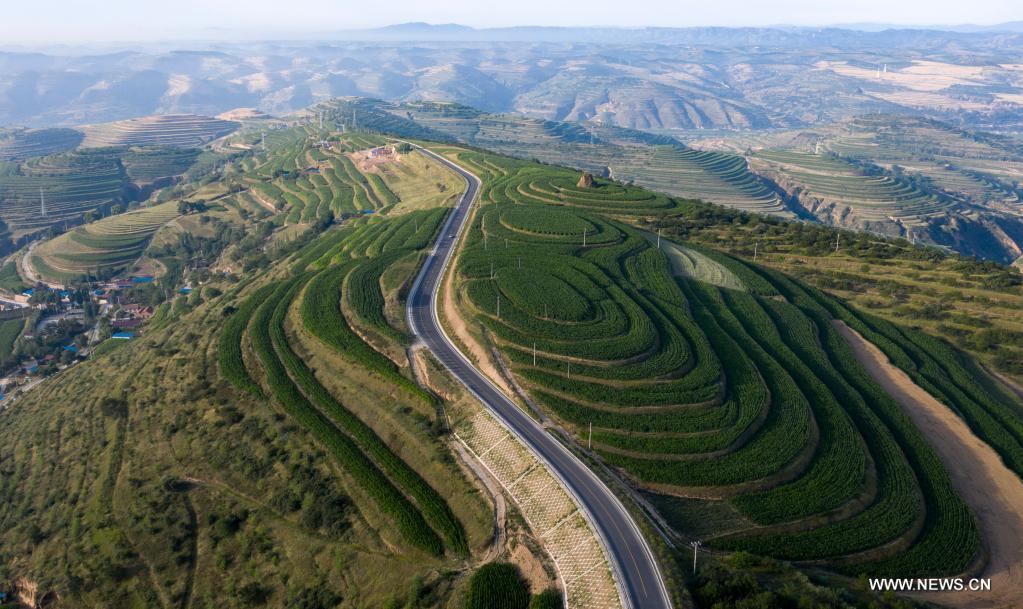 Aerial photo taken on July 14, 2021 shows terraced fields in Pengyang County of Guyuan, northwest China's Ningxia Hui Autonomous Region. (Xinhua/Feng Kaihua)