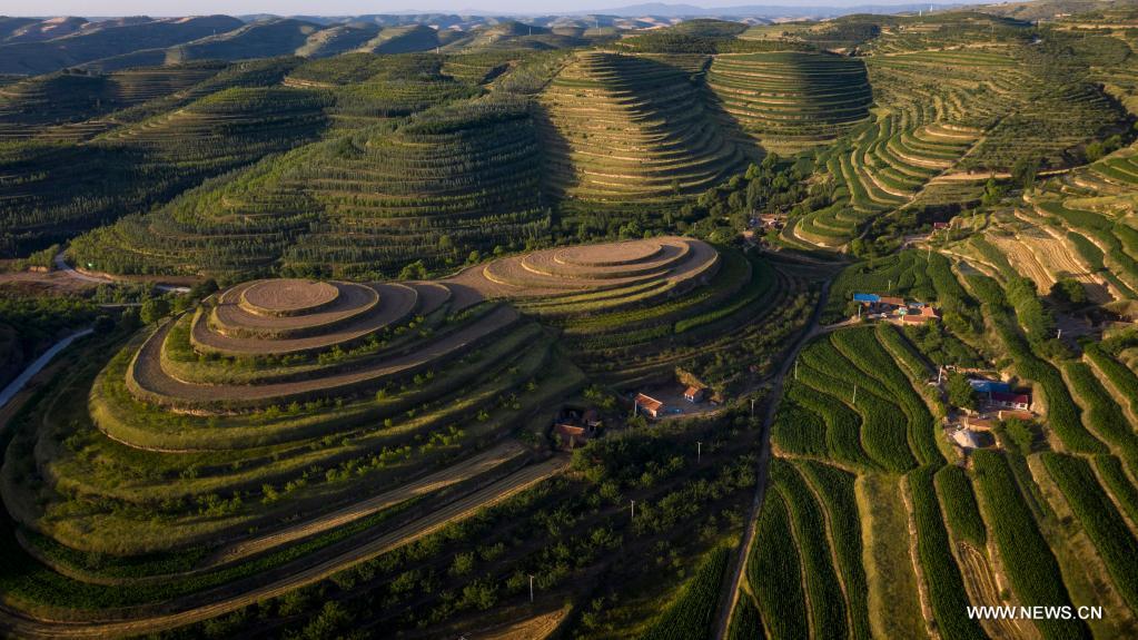 Aerial photo taken on July 13, 2021 shows terraced fields in Pengyang County of Guyuan, northwest China's Ningxia Hui Autonomous Region. (Xinhua/Feng Kaihua)