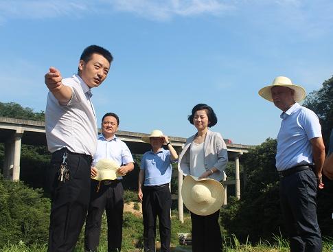 蒋春艳调研云溪区云溪街道工作