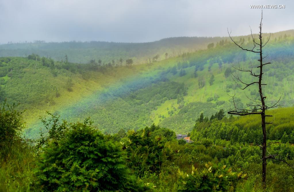 Photo taken on July 14, 2021 shows a view of the Arxan National Forest Park, north China's Inner Mongolia Autonomous Region. (Xinhua/Lian Zhen)