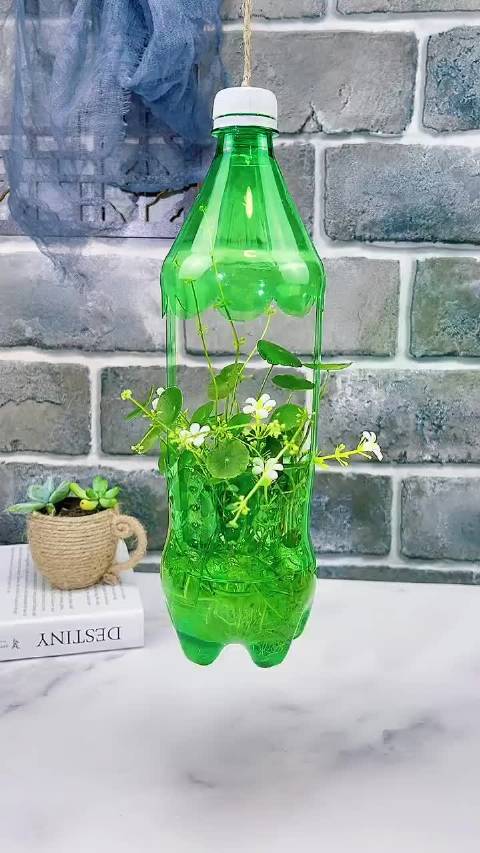 饮料瓶不要扔做一个简单又好看的吊篮花盆快学起来吧