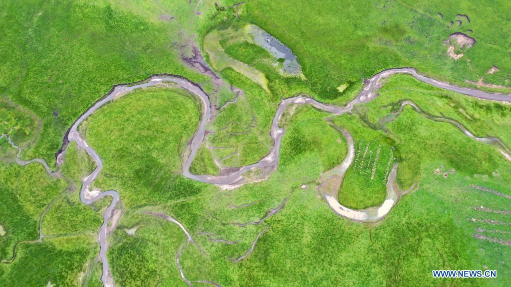 Aerial photo taken on July 15, 2021 shows the scenery of the Awancang Wetland in Maqu County, Gannan Tibetan Autonomous Prefecture, northwest China's Gansu Province. (Xinhua/Ma Sha)