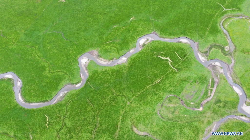 Aerial photo taken on July 15, 2021 shows the scenery of the Awancang Wetland in Maqu County, Gannan Tibetan Autonomous Prefecture, northwest China's Gansu Province. (Xinhua/Ma Sha)