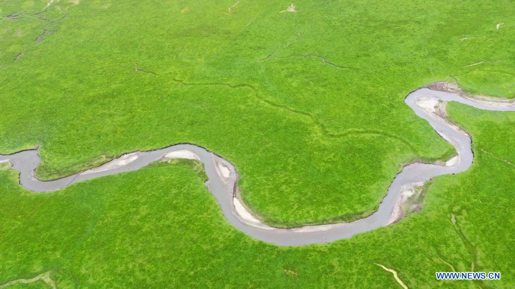 Aerial photo taken on July 15, 2021 shows the scenery of the Awancang Wetland in Maqu County, Gannan Tibetan Autonomous Prefecture, northwest China's Gansu Province. (Xinhua/Wen Jing)