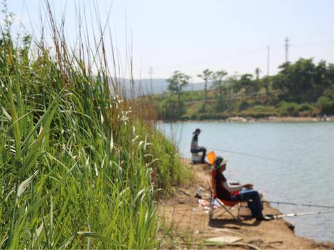 夏天钓鱼找鱼窝，找这三种地方准没错